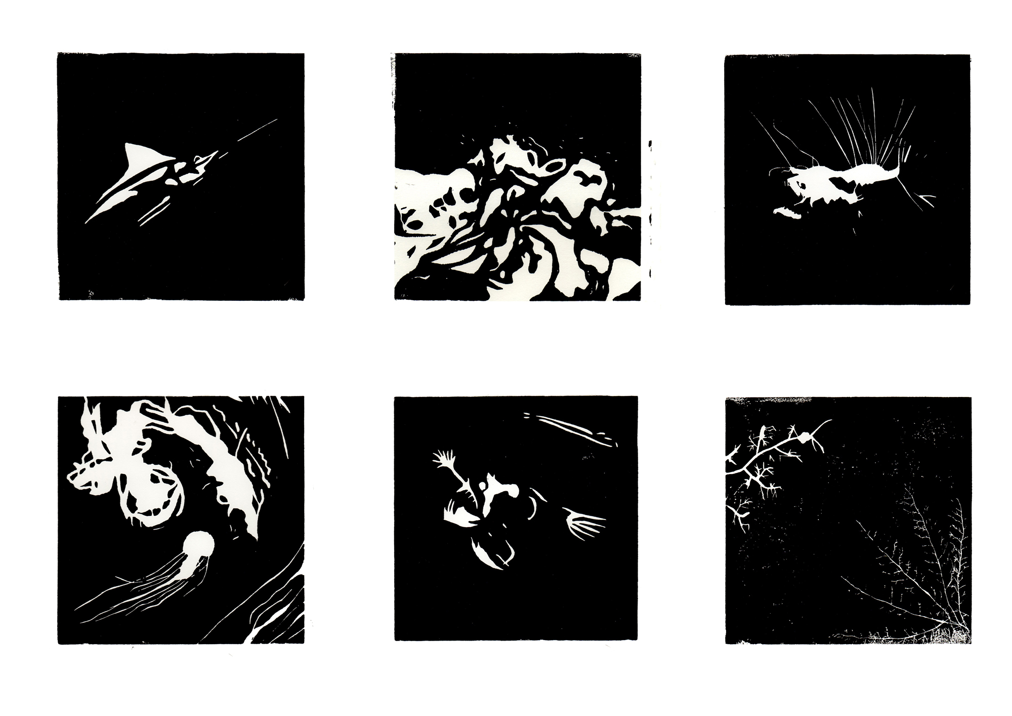 thermocline_linocuts